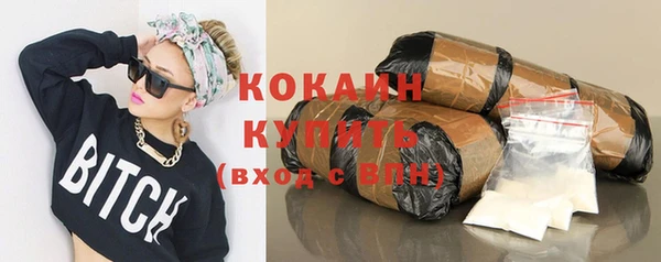 стаф Вязьма
