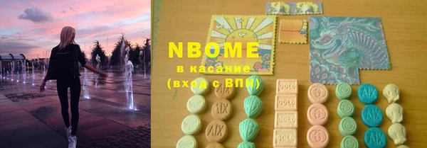 стаф Вязьма