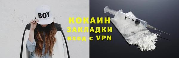 прущая мука Вяземский