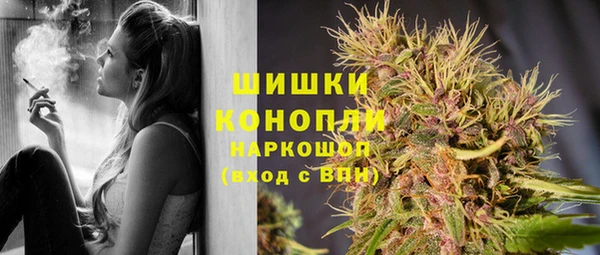 крисы Вязники