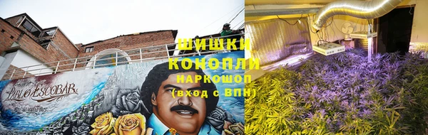 прущая мука Вяземский