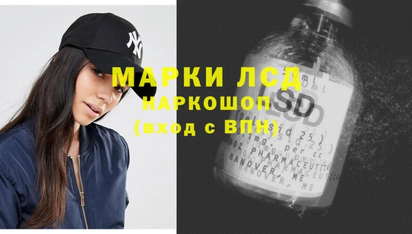 стаф Вязьма
