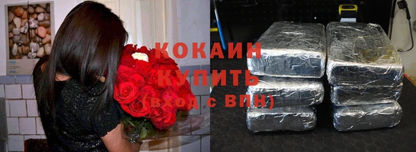 стаф Вязьма